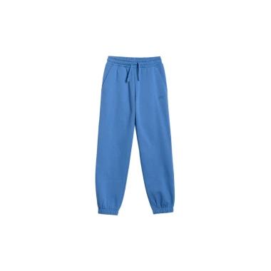 Spodnie sportowe dresowe joggery chłopięce 4F TTROM1506-32S